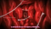 Shoujo x Shoujo x Shoujo The Animation episodio 1
